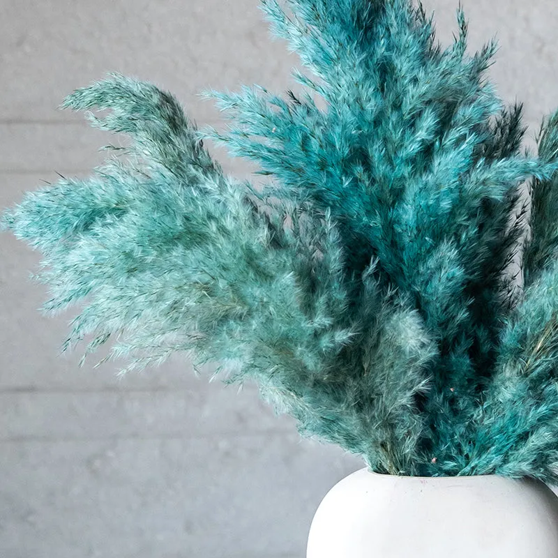 Sittora Pampas Stick (Ocean Blue) - Set Of Ten media 3