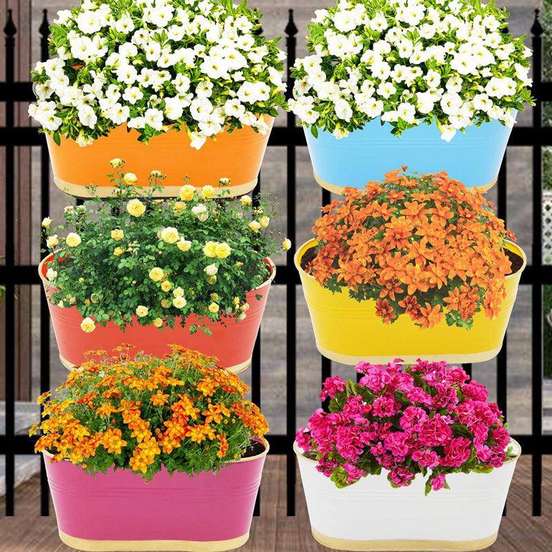 Emelie White Planter - Set Of Six media 6