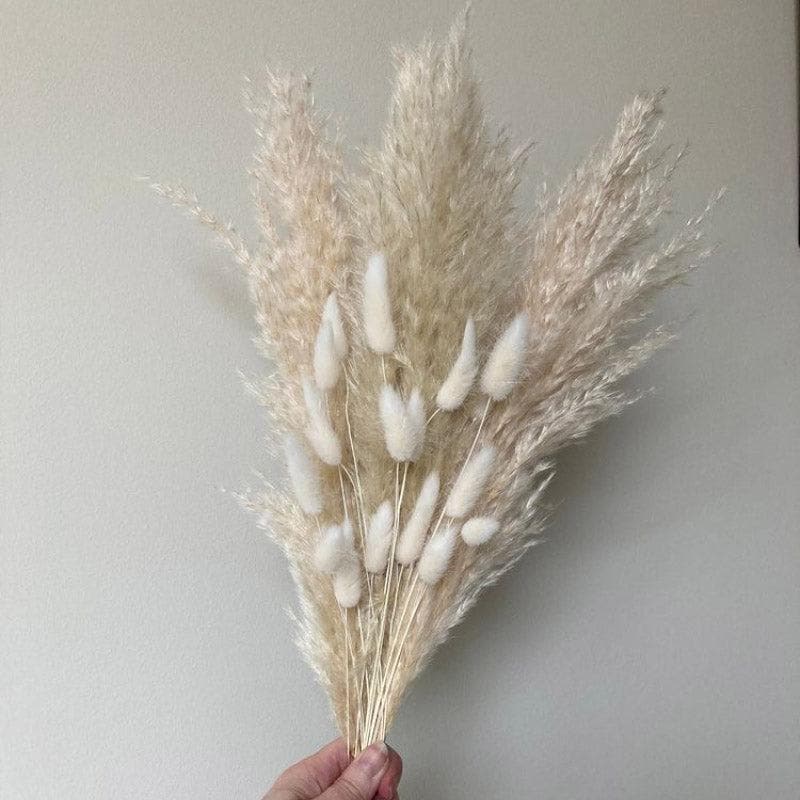 Naturally Dried Pampas And Bunny Tail Flower Bunch - Set Of Fifteen media 4