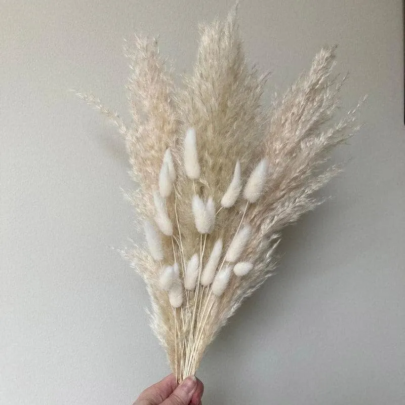 Naturally Dried Pampas And Bunny Tail Flower Bunch - Set Of Fifteen media 4