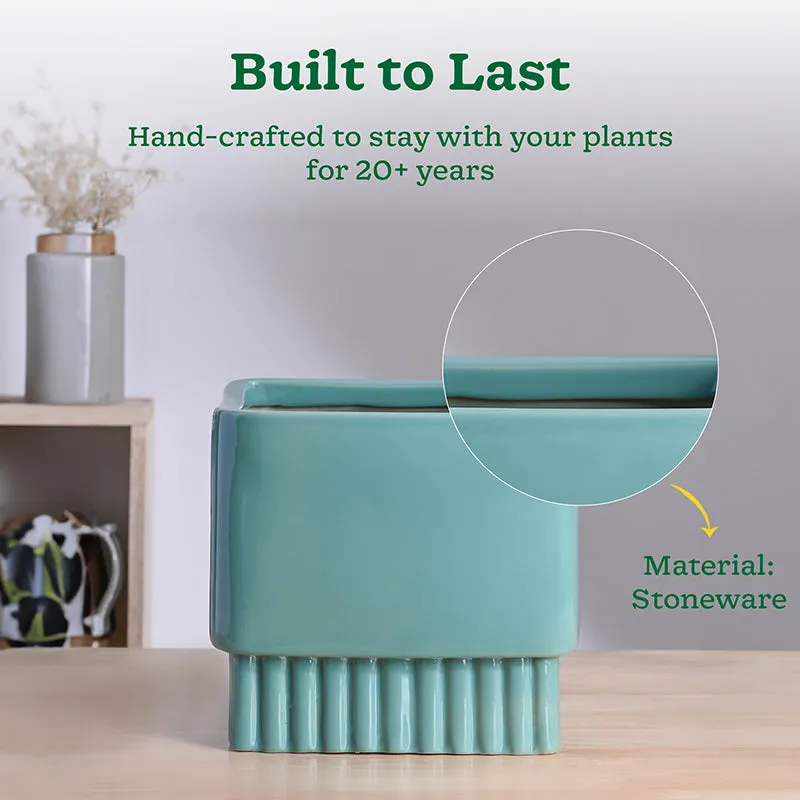 Ugaoo Sleepy Sprout Square Ceramic Planter - Blue media 4