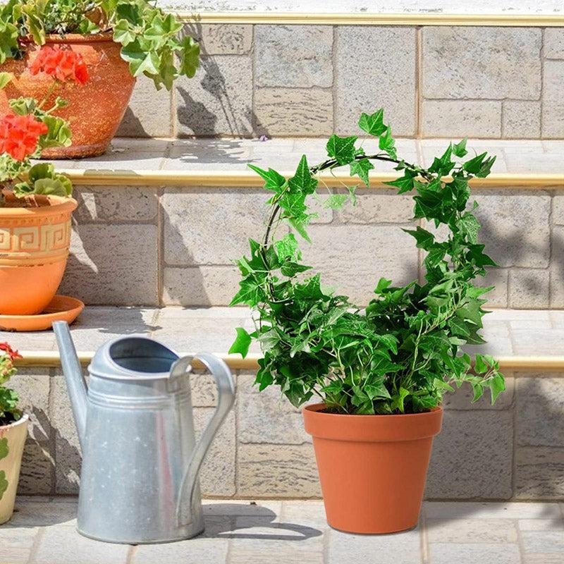 Loop Metal Plant Trellis Rings - Set of Two media 4