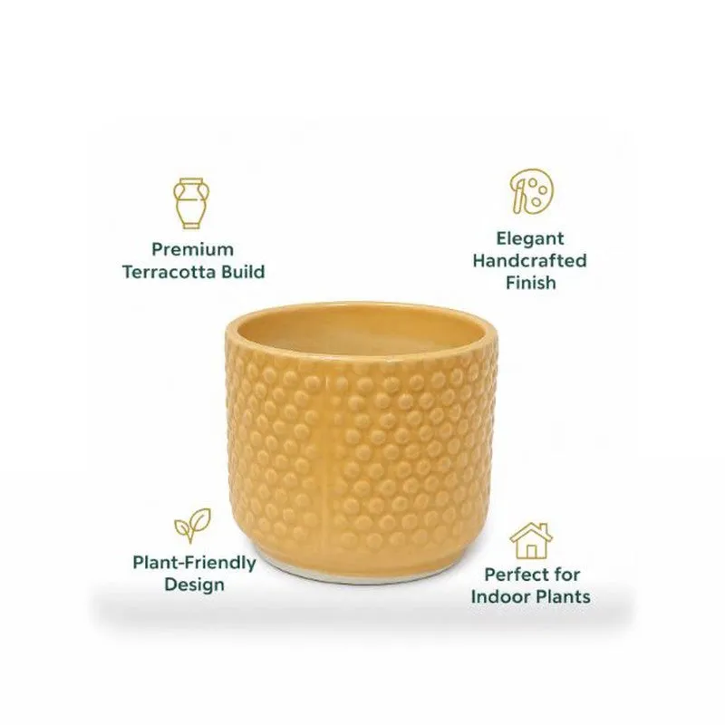 Nordic Bubble Ceramic Planter (Yellow) - Set of Two media 9