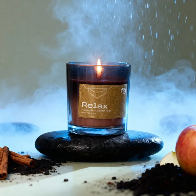 Fig Living Relax Apple & Cinnamon Palm Wax Scented Candle media 5
