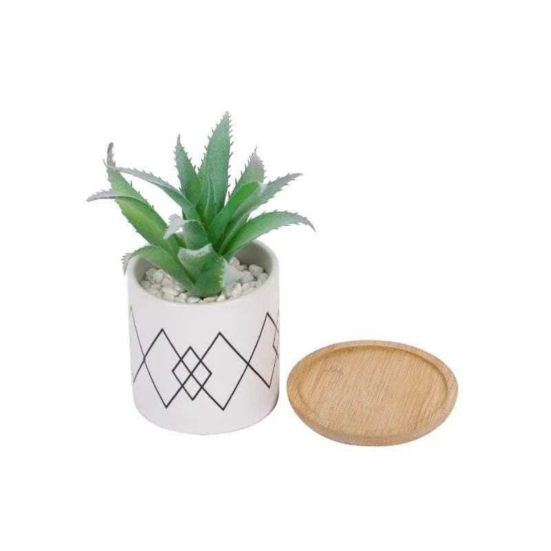 Faux Aloe Vera In Minimalist Pot - 14 cms media 4