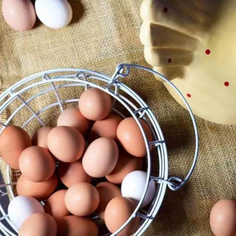 Cluck Cluck Egg (Polyresin, Metal) Storage Basket media 4