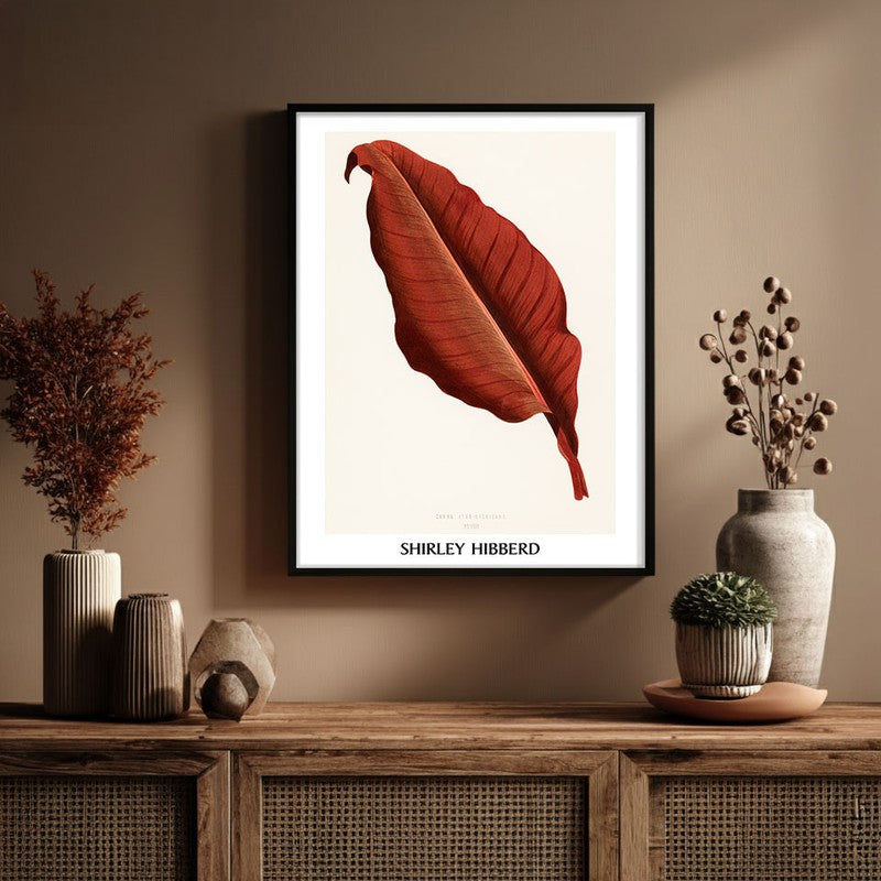 Canna Atro Nigricans Shirley Hibberd Archival Canvas Wall Painting - Black Frame
