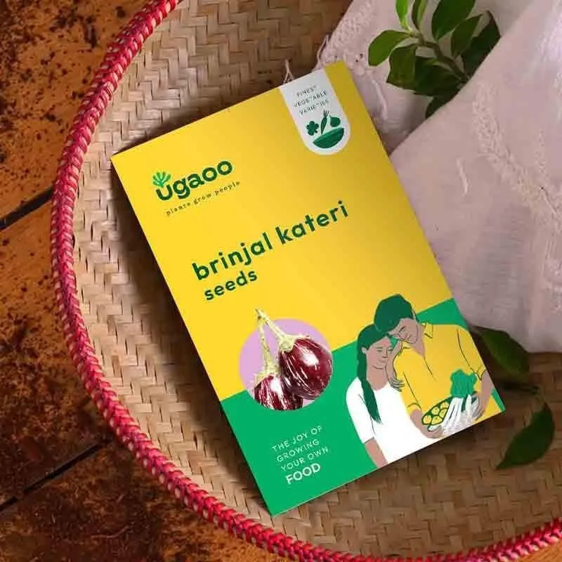 Ugaoo Brinjal Kateri Seeds media 4