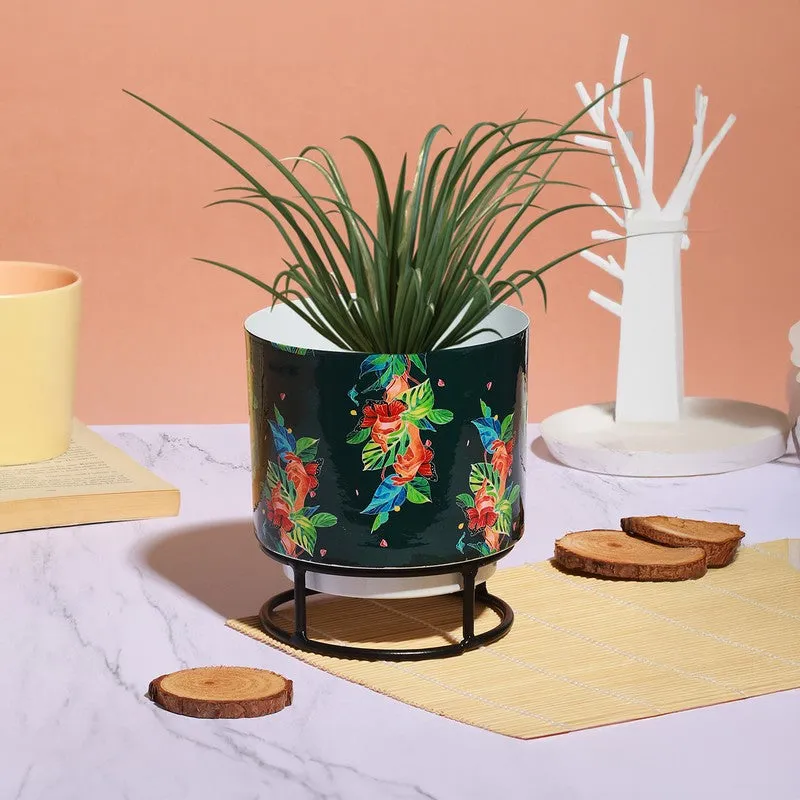 Green Nest Garden Metal Planter with Stand - Green media 3