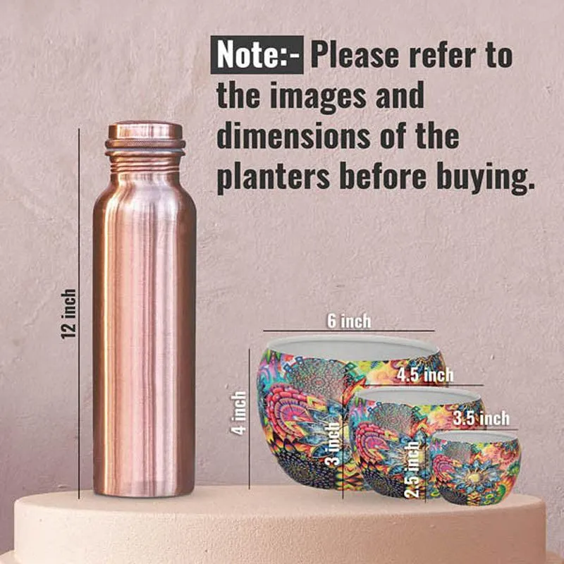 Elitta Ethnic Handcrafted Planter - Set Of Three media 8