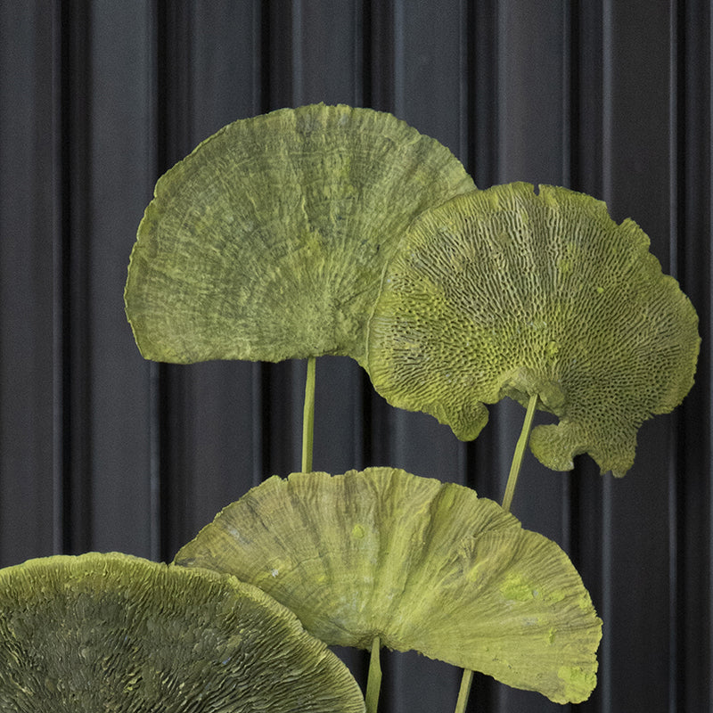 Jungle Weave Green Sponge Stick - Set Of Ten media 6