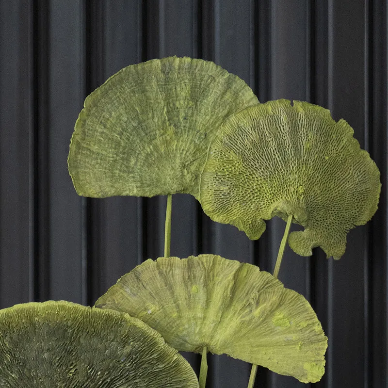 Jungle Weave Green Sponge Stick - Set Of Ten media 6