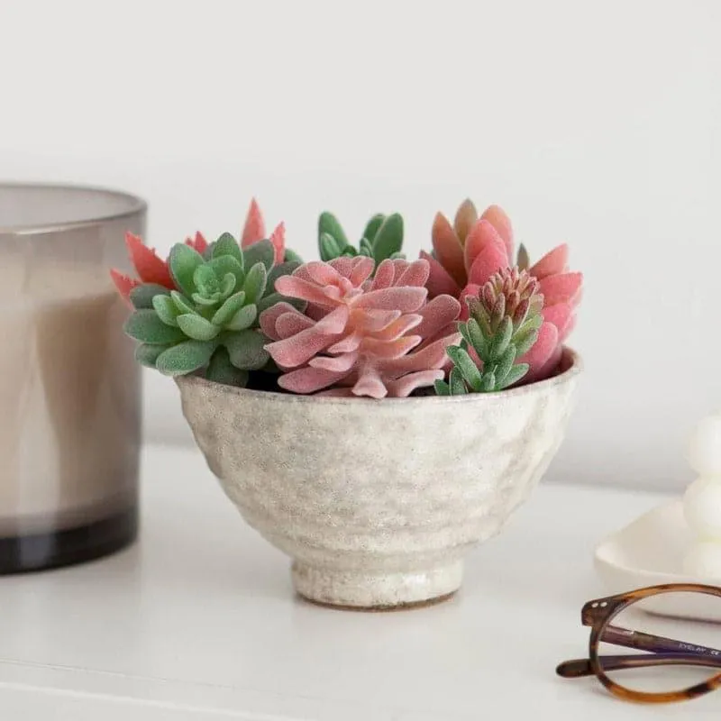 Faux Succulent Plant - Set Of Six media 1