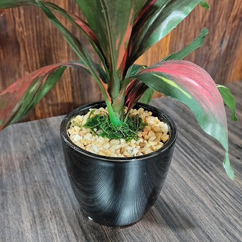 Faux Dracaena Bonsai (24 cms) - Red media 6