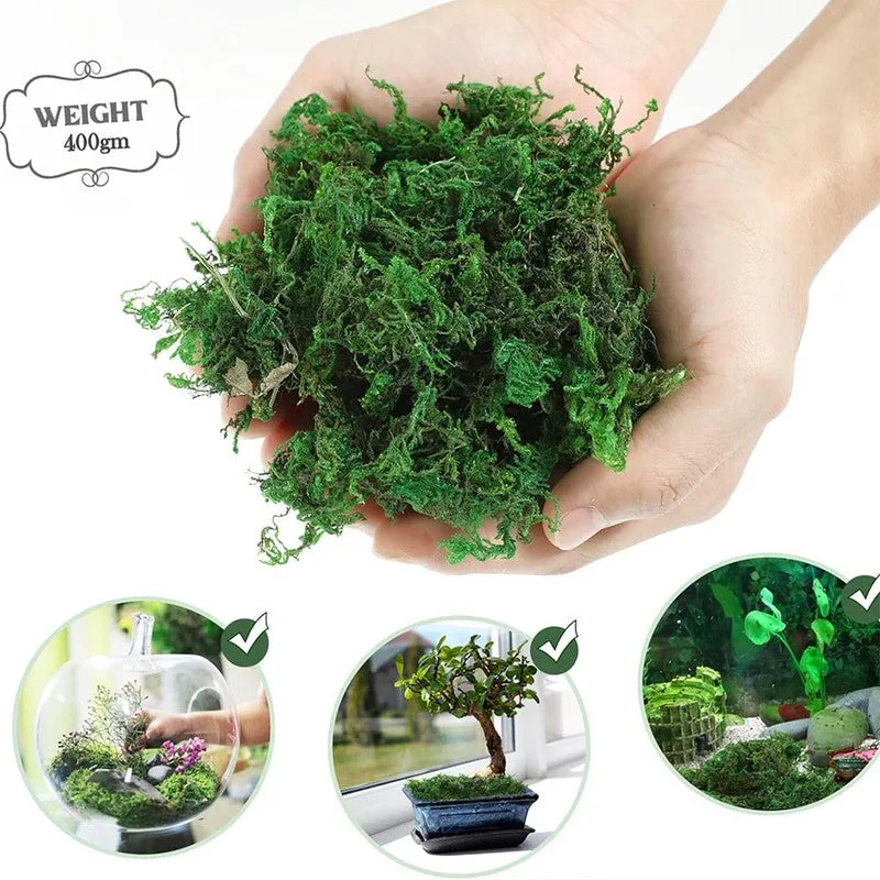Realistic Artificial Soft Moss - Light Green media 5