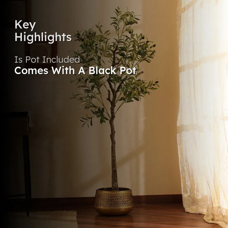Artificial Olive Plant With Black Plastic Pot - 5 ft media 2