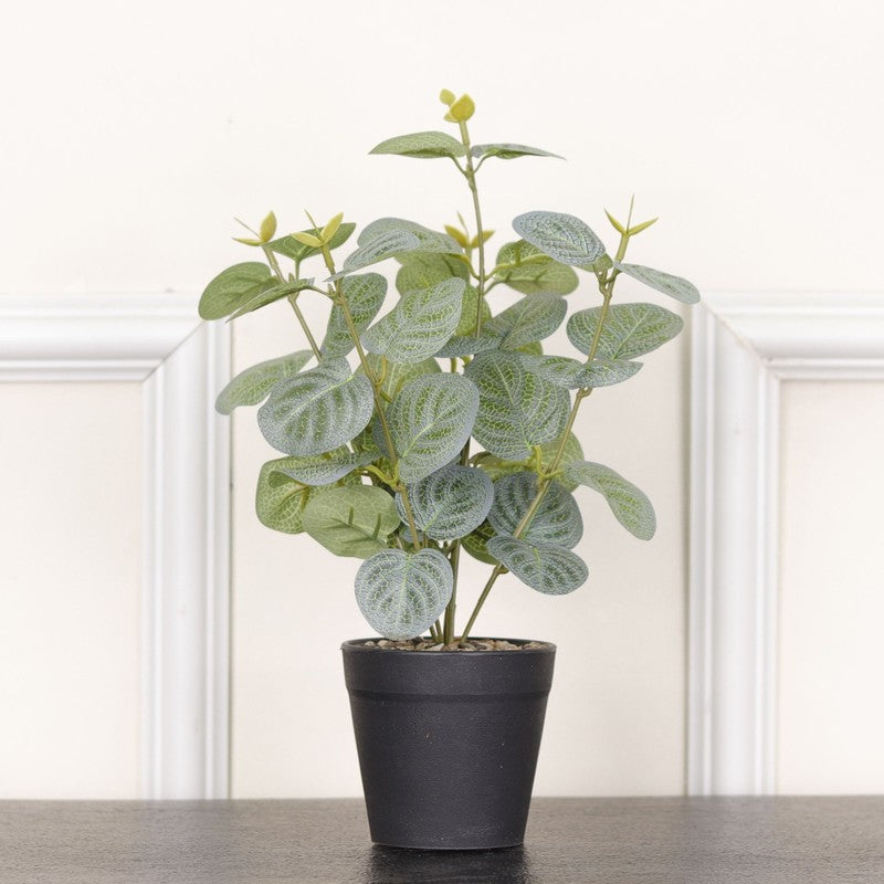 Artificial Eucalyptus Plant With Black Fiber Pot (Green) - 1 Feet media 4