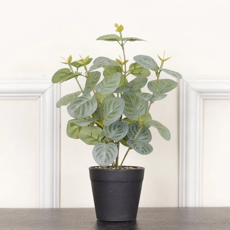 Artificial Eucalyptus Plant With Black Fiber Pot (Green) - 1 Feet media 4
