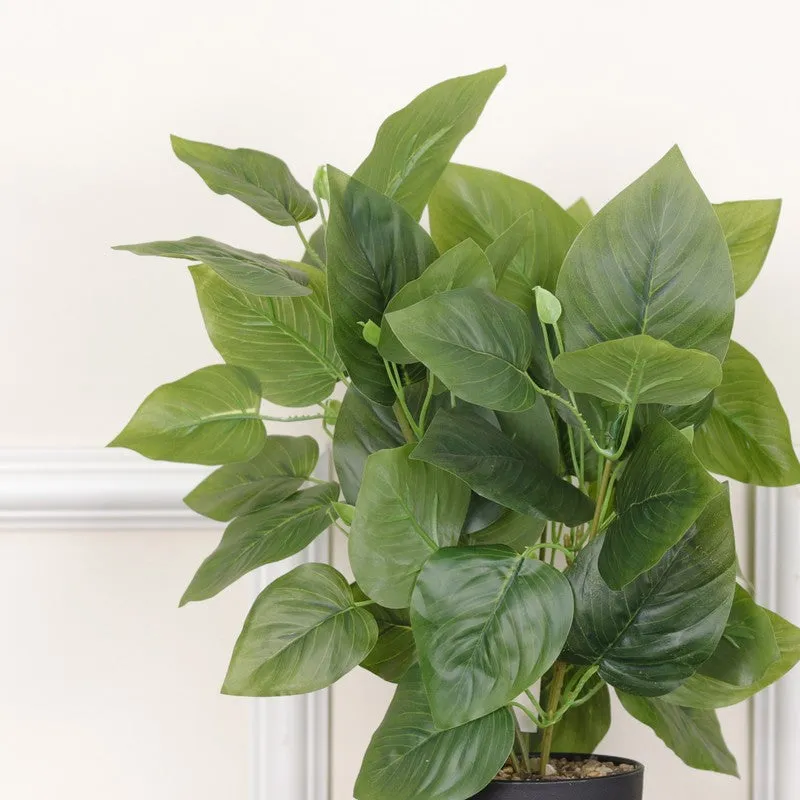 Artificial Pothos Plant With Black Fiber Pot (Green) - 1 Feet media 6