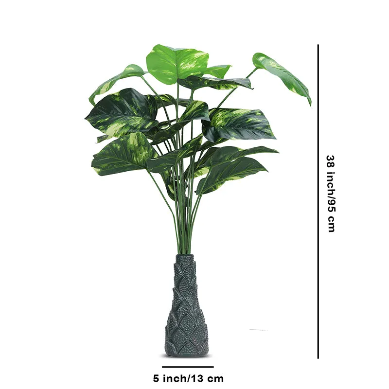Infinita Artificial Money Plant I With Black Plastic Pot - 3 Feet media 5