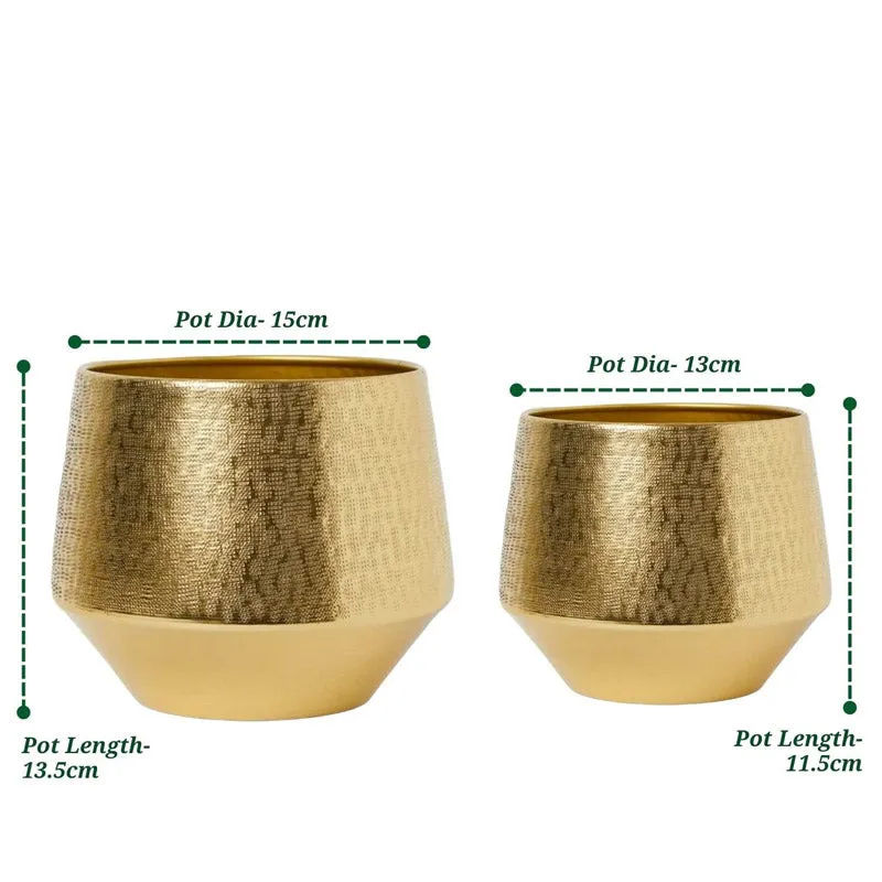 Arrota Gold Planter - Set Of Two media 8