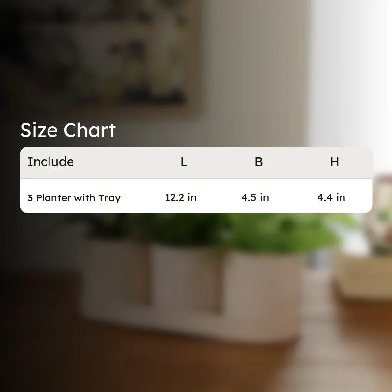 PetalPod Planters with Tray - Ivory media 10
