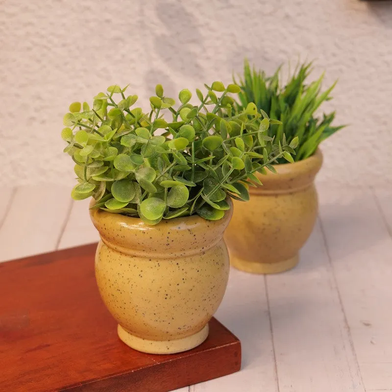 GoldenSprout Planters - Set Of Two media 3