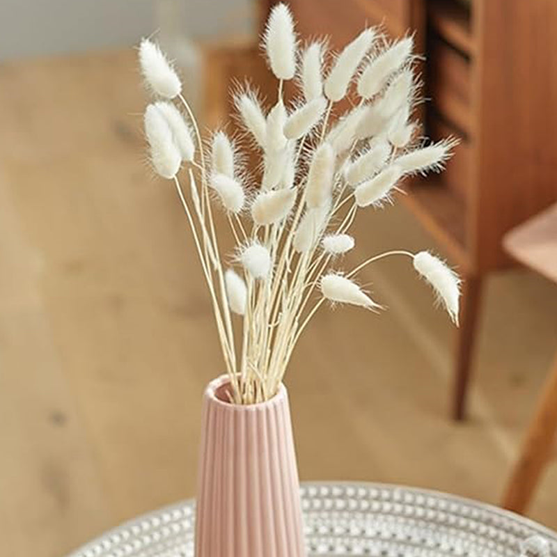 Cloudtail Dried Bunny Tail Stem (White) - Set Of Thirty media 3
