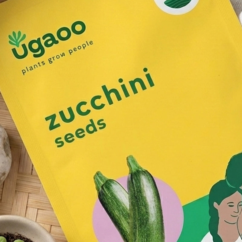 Ugaoo Zucchini Seeds (Squash) media 3