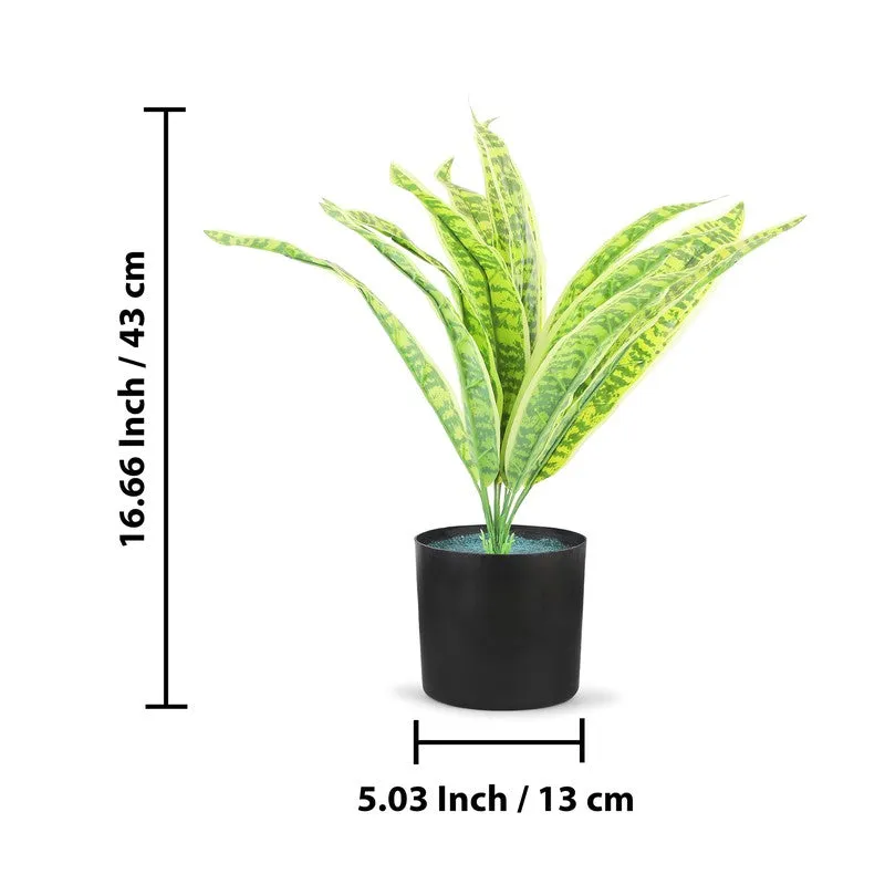 Neonix Snake Artificial Plant With Plastic Pot - 1.4 Feet media 7