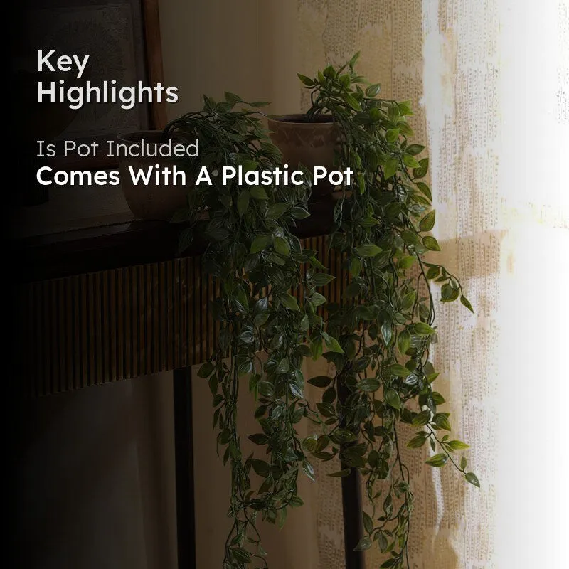 Artificial Leafy Green Hanging Plant With Black Plastic Pot (Set Of Two) - 3 Feet media 2