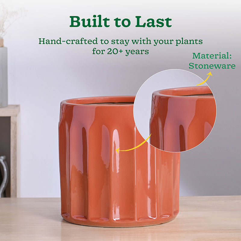 Ugaoo Straits Ceramic Planter - Pink media 3
