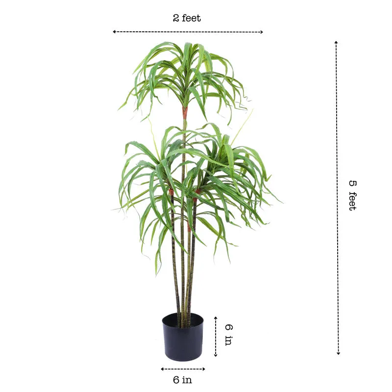 Artificial Realistic Dracaena Plant With Black Plastic Pot - 4.9 Feet media 8