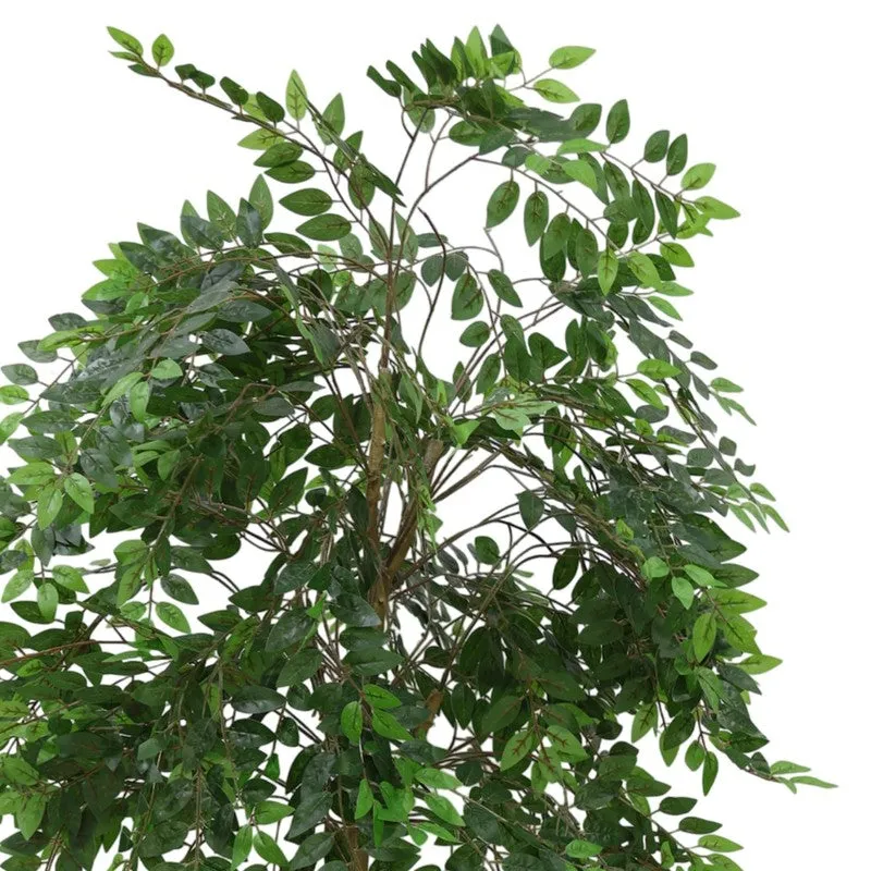 Herbelle Artificial Ficus Plant - 3.9 Feet media 3