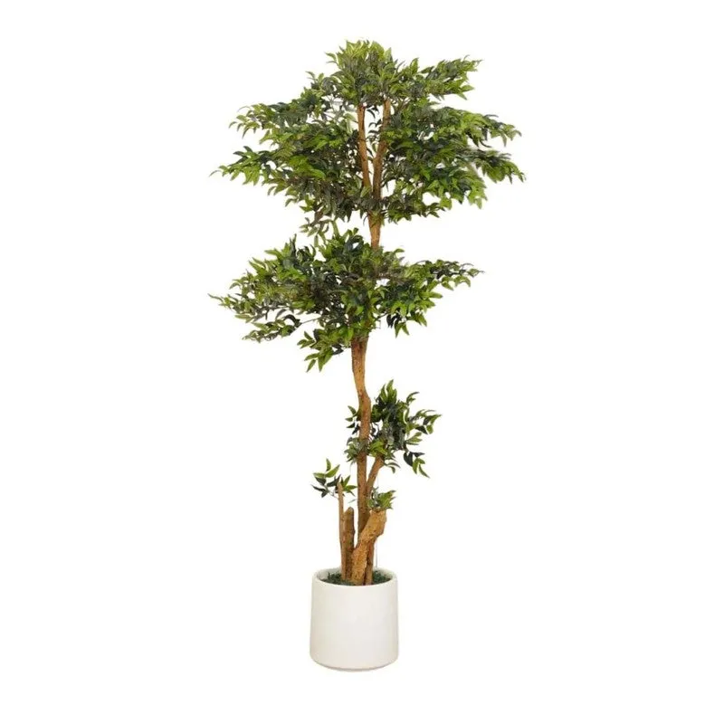 Artificial Ruscus Plant Without Pot - 6.2 Feet media 6