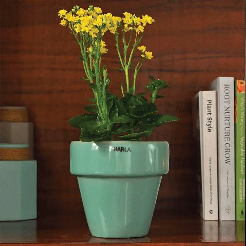 Ugaoo The Dream Ceramic Pot (13 CM) - Aqua Green media 3