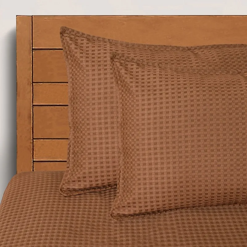 PlainLux Cotton Bedsheet (Brown) - 150 TC media 4