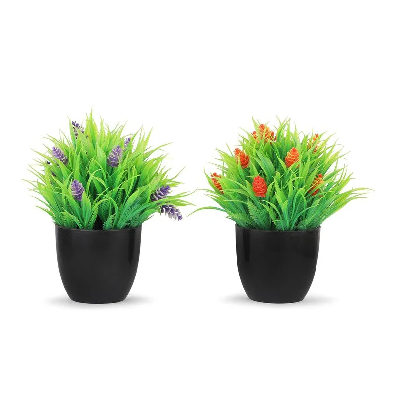 Leafzen Artificial Plant With Plastic Pot(Set of Two) - 0.7 Feet media 3