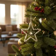 Beaded Ornaments category