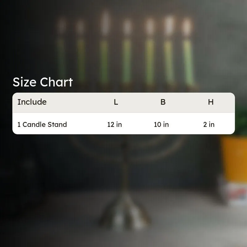 Menorah Candle Holder media 10
