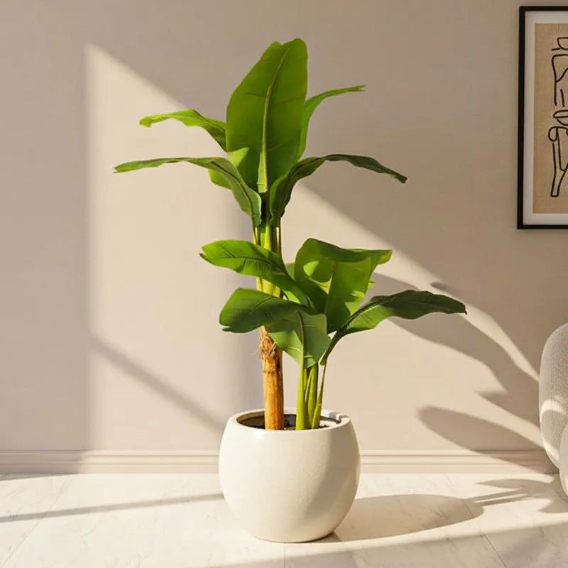 Verdiq Artificial Banana With Black Plastic Pot - 4.5 Feet media 1