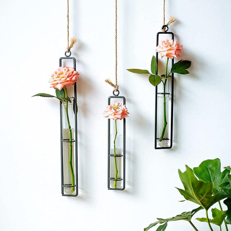 Mita Hanging Test Tube Planter media 3