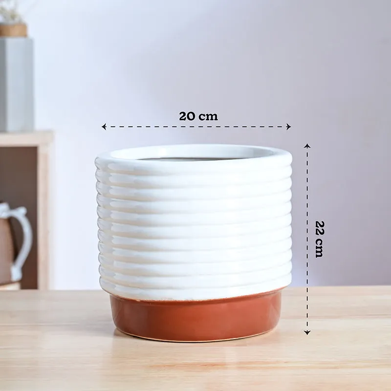 Ugaoo Fern Friend Ceramic Planter - Terracotta media 8