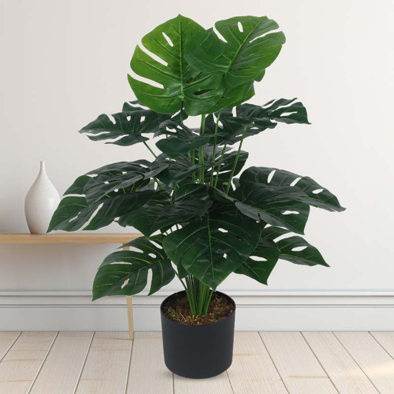 Faux Lush Delisocia Monstera Plant With Black Plastic Pot - 2.6 Feet media 3