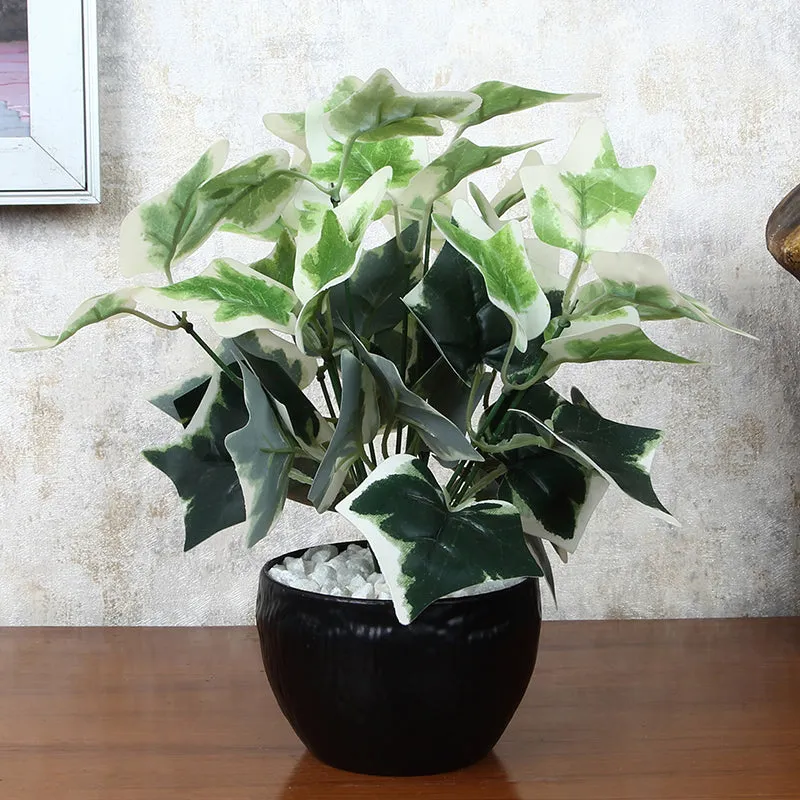 Ivelle Artificial Plant With Black Plastic Pot - Green & Green media 1