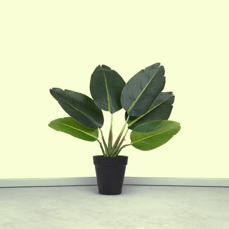 Faux Banana Palm Bonsai In Black Plastic Pot (36 cms) - Small media 3