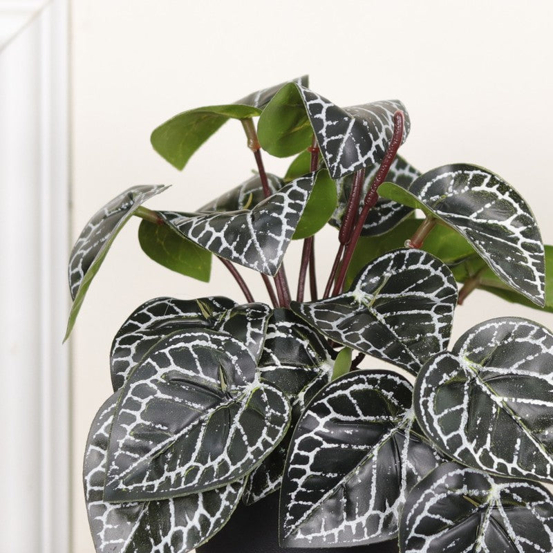 Artificial Philodendron Plant With Black Fiber Pot (Silver) - 0.6 Feet media 6
