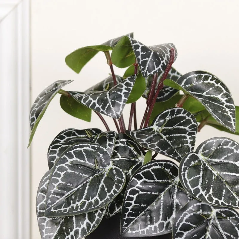 Artificial Philodendron Plant With Black Fiber Pot (Silver) - 0.6 Feet media 6