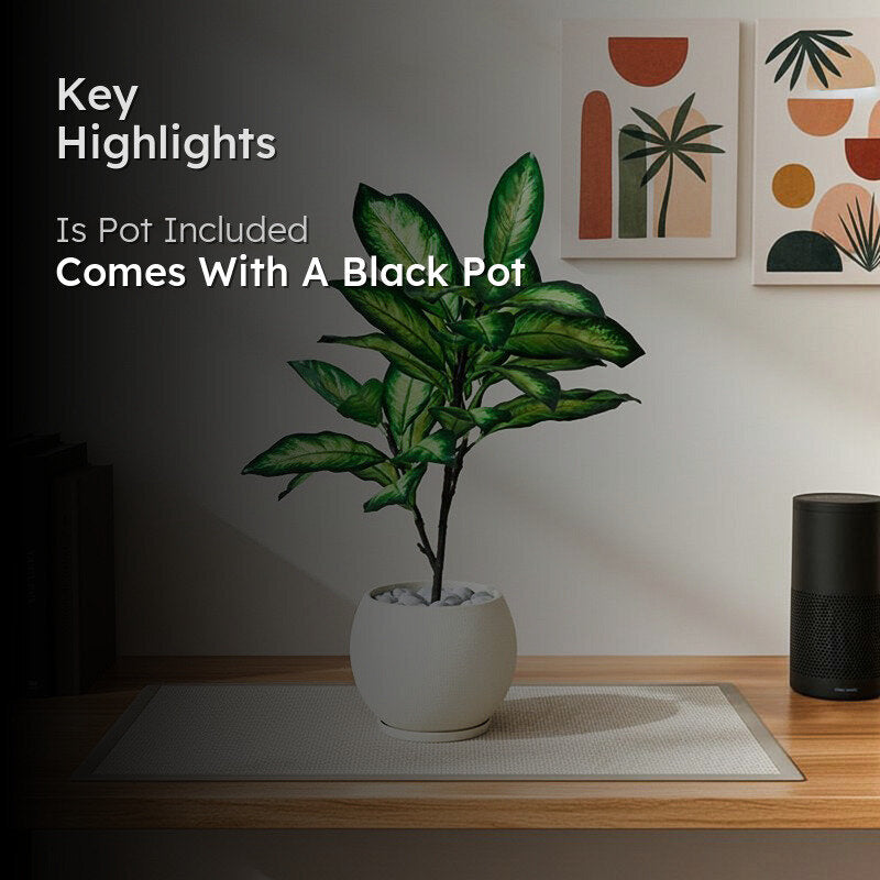 Faux Everlasting Dieffenbachia Seguine Plant With Black Plastic Pot - 74 cm (2.4 ft) media 2