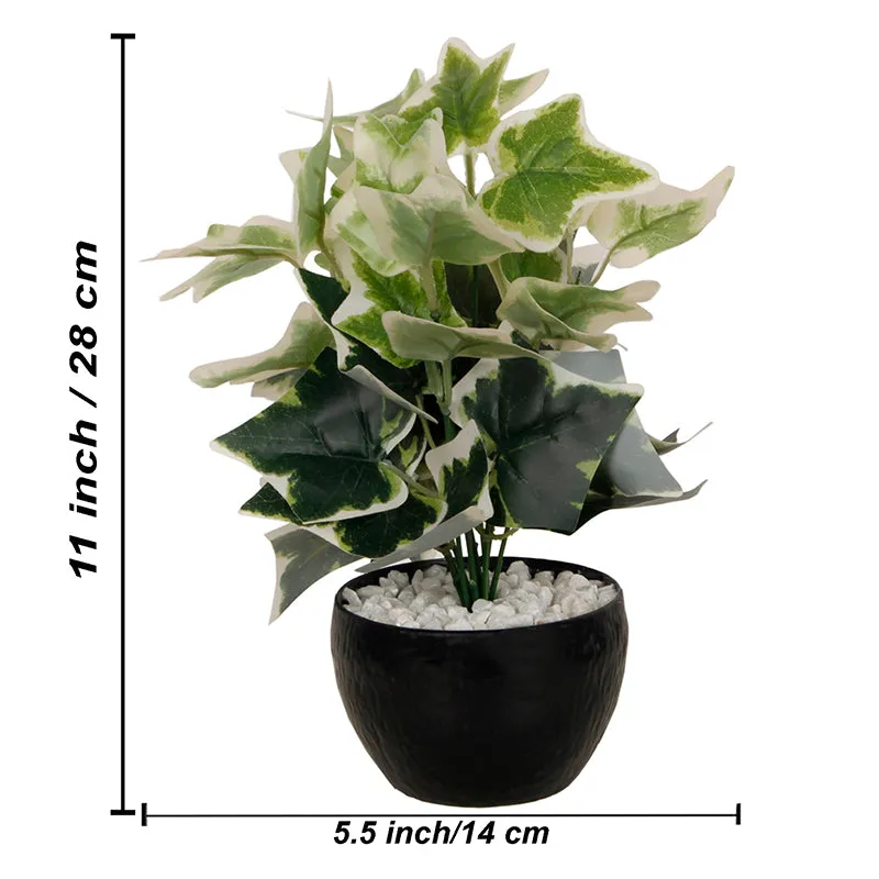 Ivelle Artificial Plant With Black Plastic Pot - Green & Green media 5